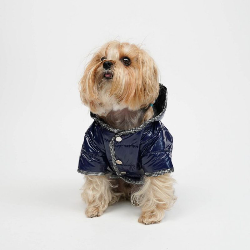 Куче Худи Moncler палто – индиго