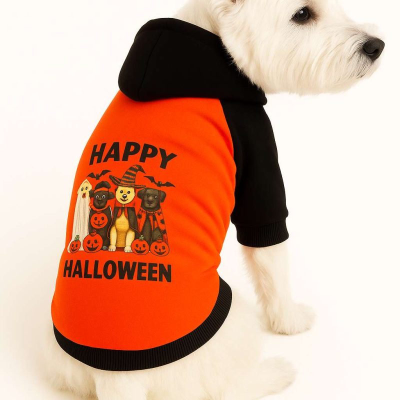 Куче Худи Orangehappyhall
